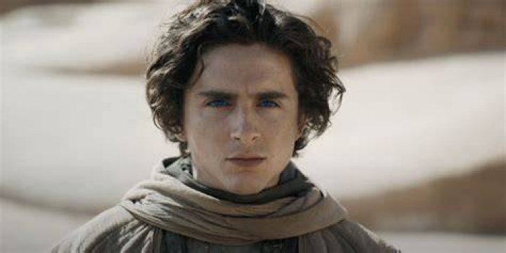 2021 Timothée Chalamet movie
