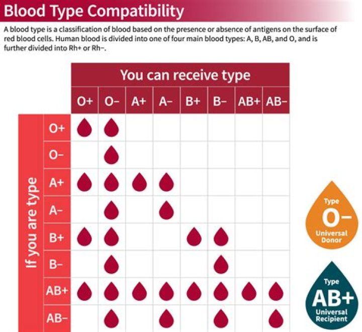 A B O and AB at a blood bank