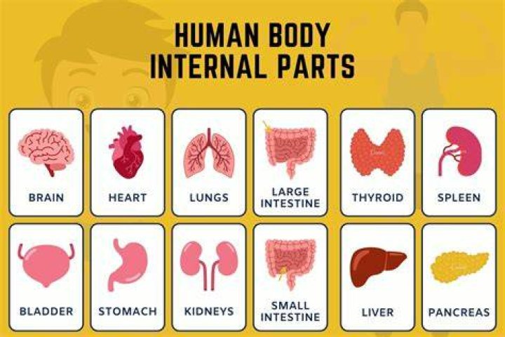 Body parts that can be rolled or crossed