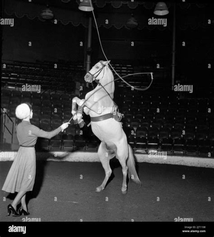 Circus entertainers with red noses