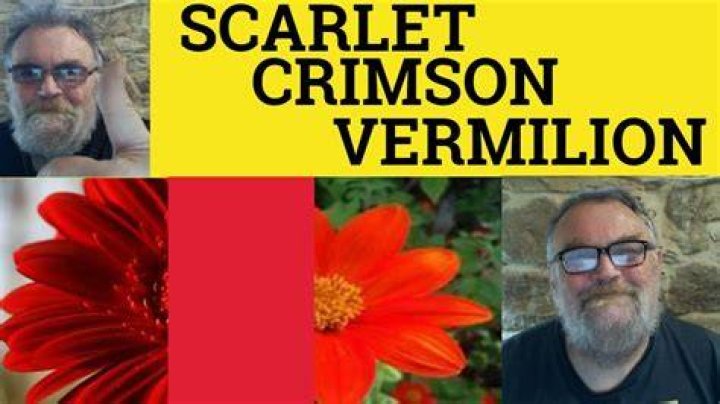 Crimson strawberry or scarlet