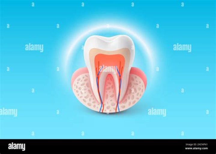 Ending for tooth or heart
