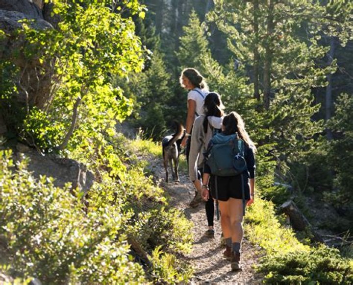 Guided trips