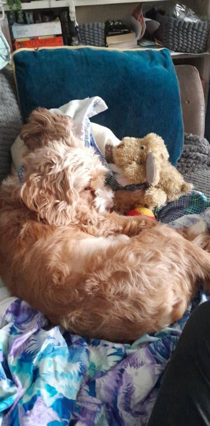 Half-hour snooze perhaps