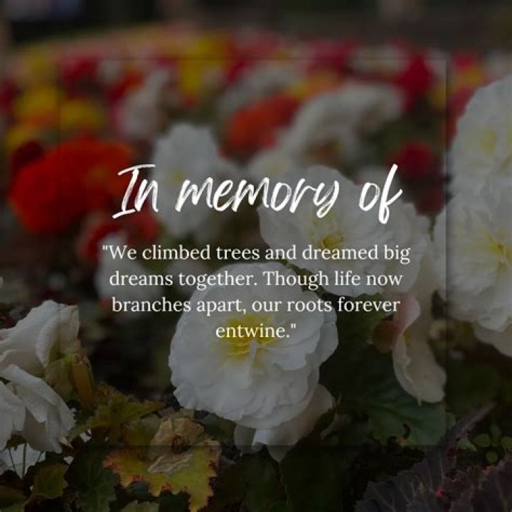 In Memoriam: Remembering The Life Of James Kimmel