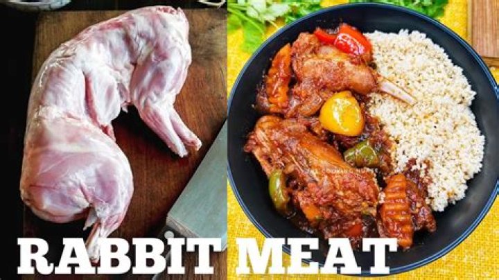 Indulge In The Delicacies Of Rabbit Meat: Your Culinary Destination