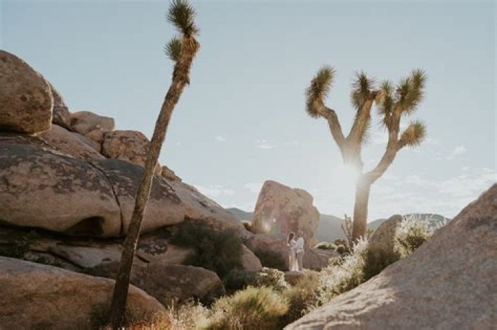 LAURA | Joshua Tree | Photographer