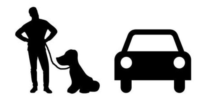 Like a well-trained dog