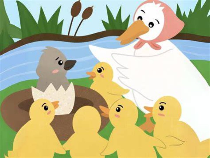 Like the duckling before becoming a swan