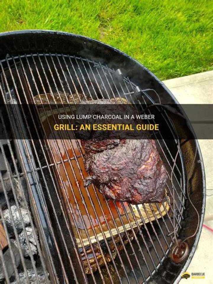 Lump of charcoal in a grill