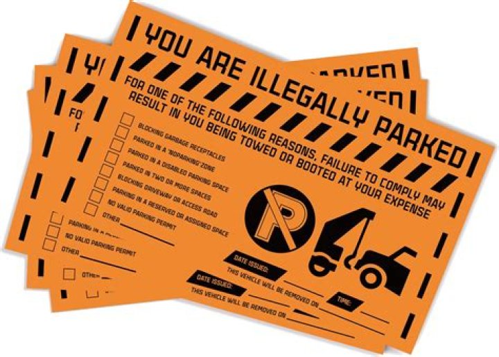 Meter ___ (person who tickets illegally parked cars)