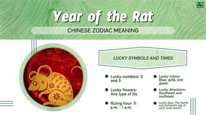 Mouse cousin in the Chinese zodiac