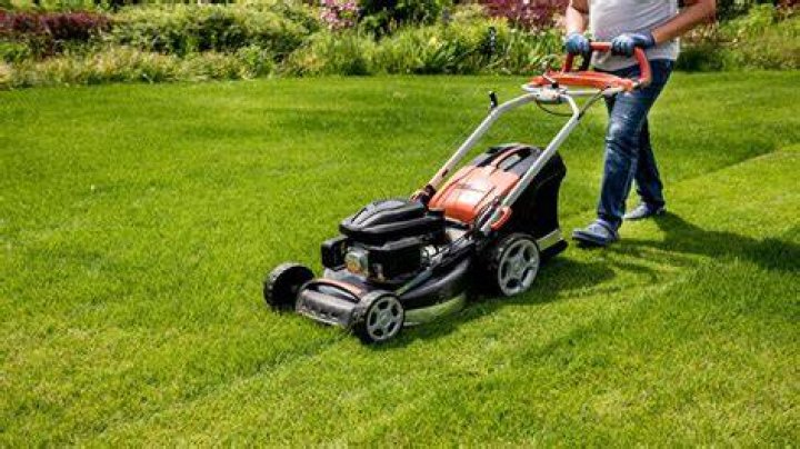 Mow the ___