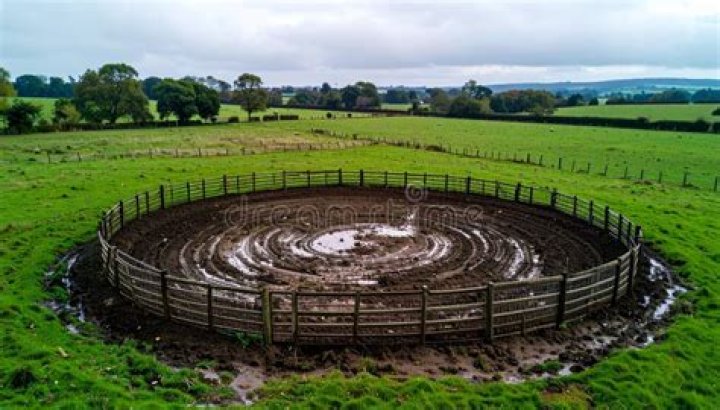 Muddy corral