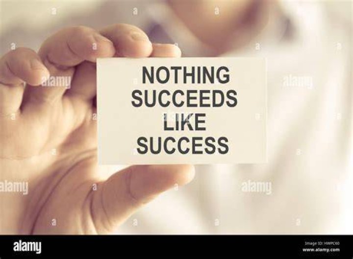 Nothing succeeds ___ success