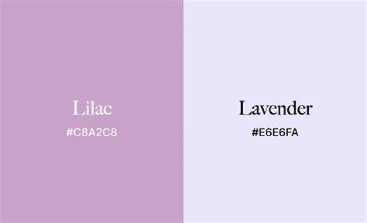 Pale purple color that's often pinker than lilac