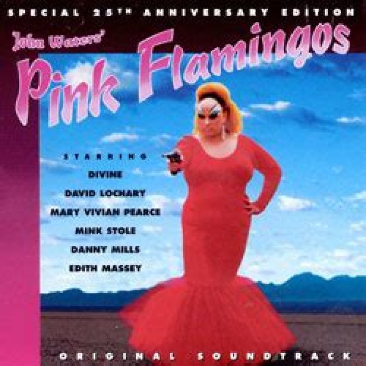Pink Flamingos Soundtrack: The Ultimate Collection Of Bizarre And Grotesque Tunes