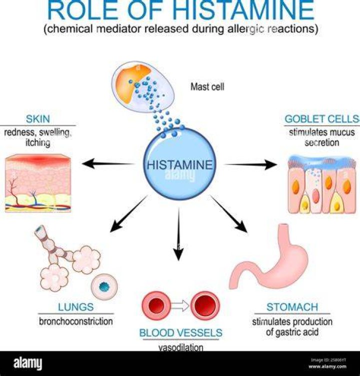 Prefix for histamine or oxidant