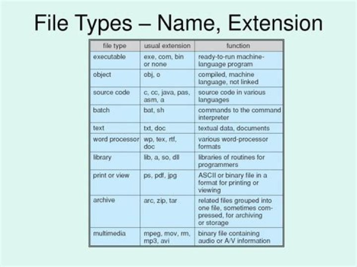 Program file-name extension