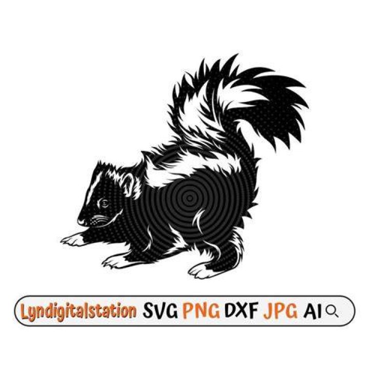 Stinky black-and-white mammal