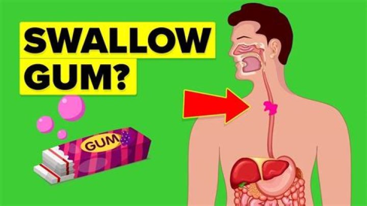 Stuff you chew but shouldn't swallow