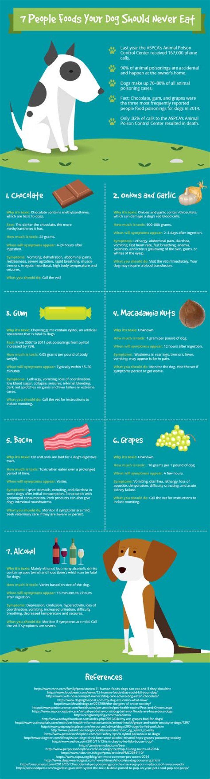 The Dangers Of Roadkill: Why Your Dog Should Never Eat It