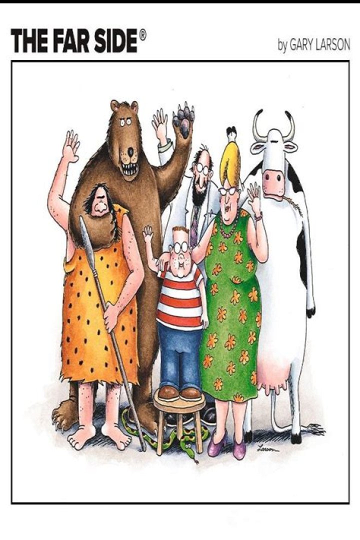 The ___ Side (Gary Larson comic strip)