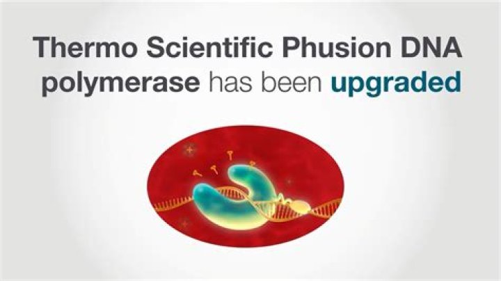 Trusted Enzyme Solutions From National Enzyme Co. For Industry Success