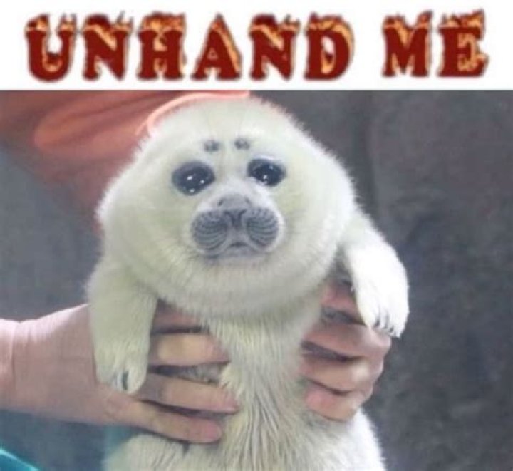 Unhand me!: 2 wds.