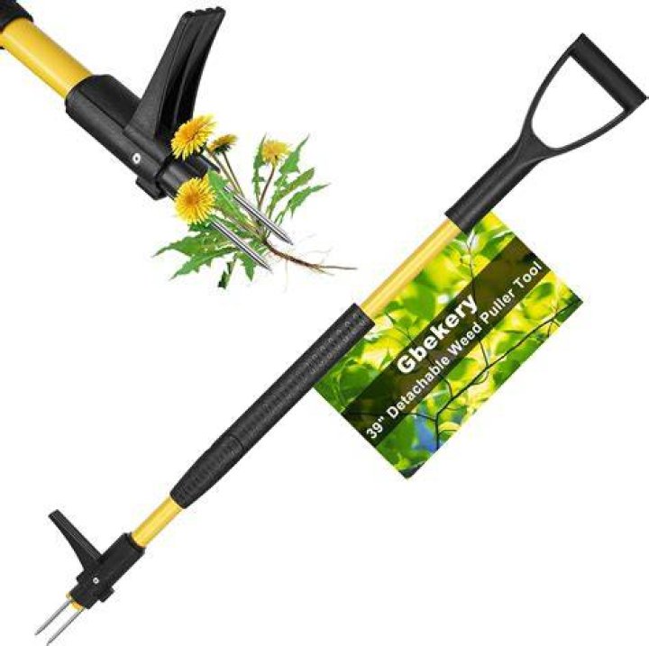 Weed-chopping tool