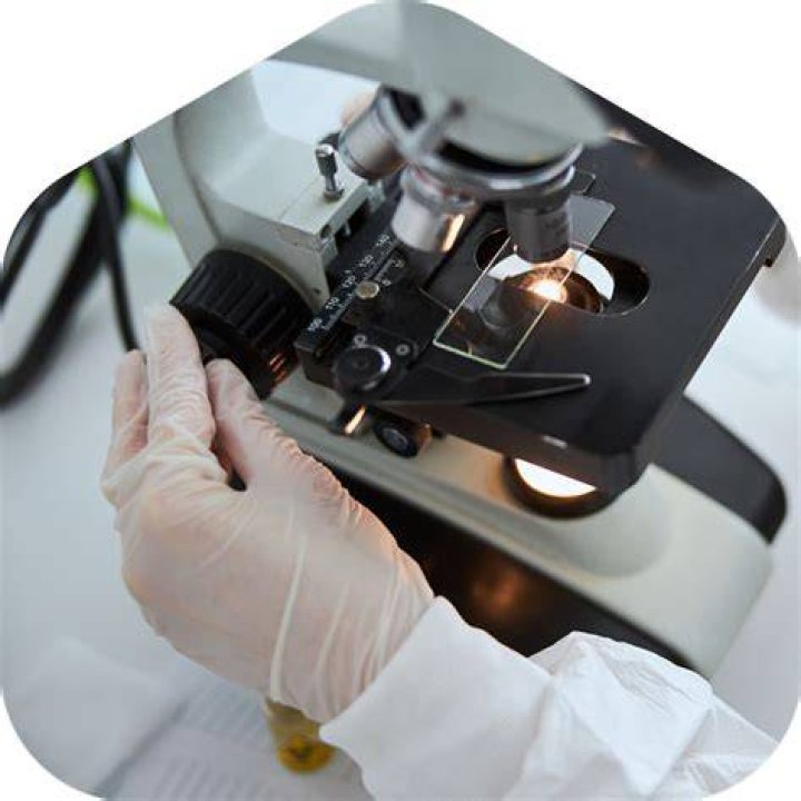 Where medical samples might be sent for testing