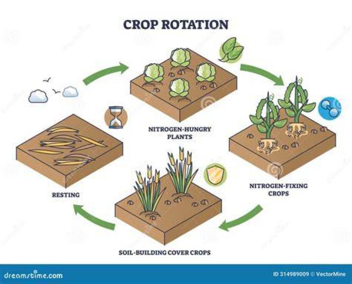 Word that can go after crop or lap
