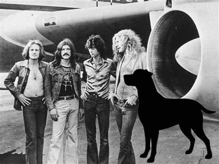 ___ Zeppelin (Black Dog band)